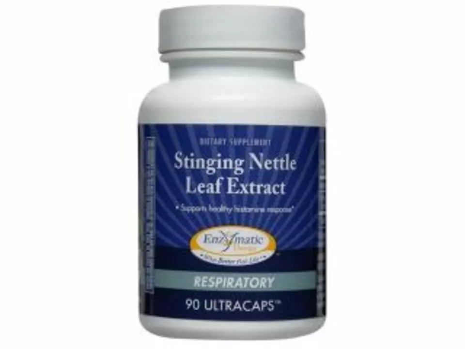 Boost Your Immunity and Energy with Stinging Nettle Dietary Supplements